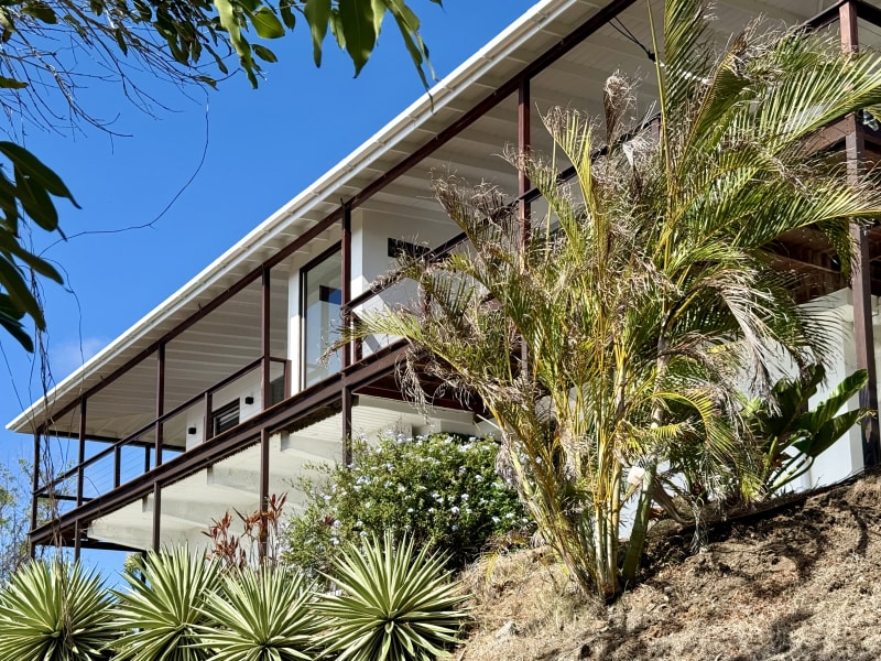 Exterior of Calabash villa framed by tropical palms