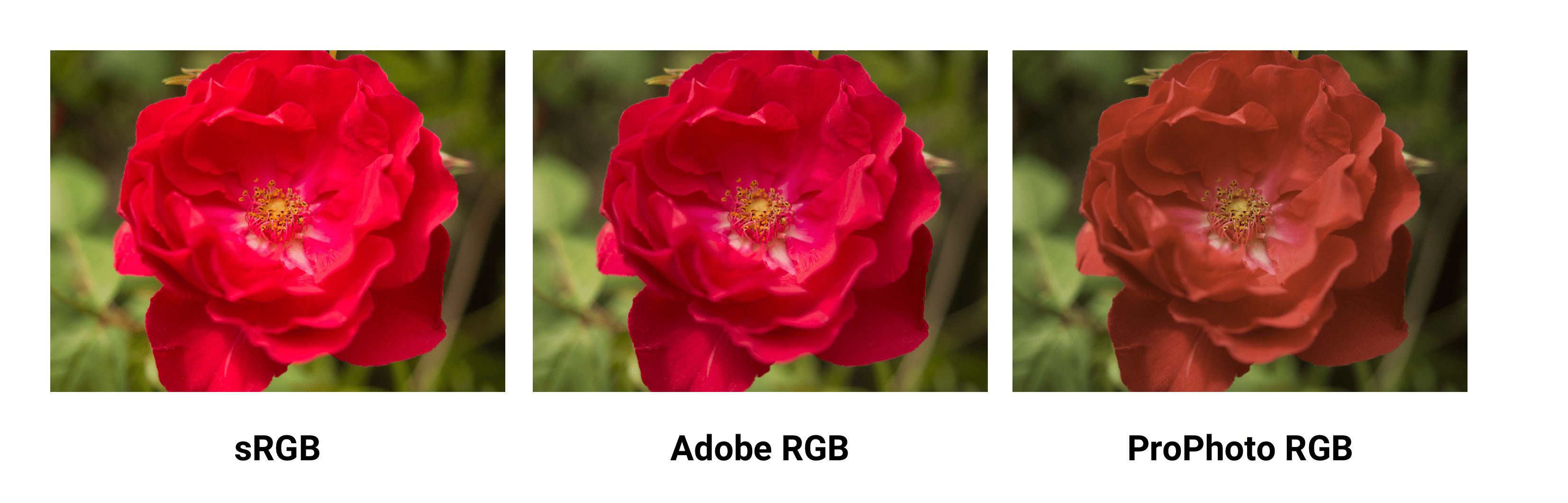 sRGB, Adobe RGB와 ProPhoto RGB