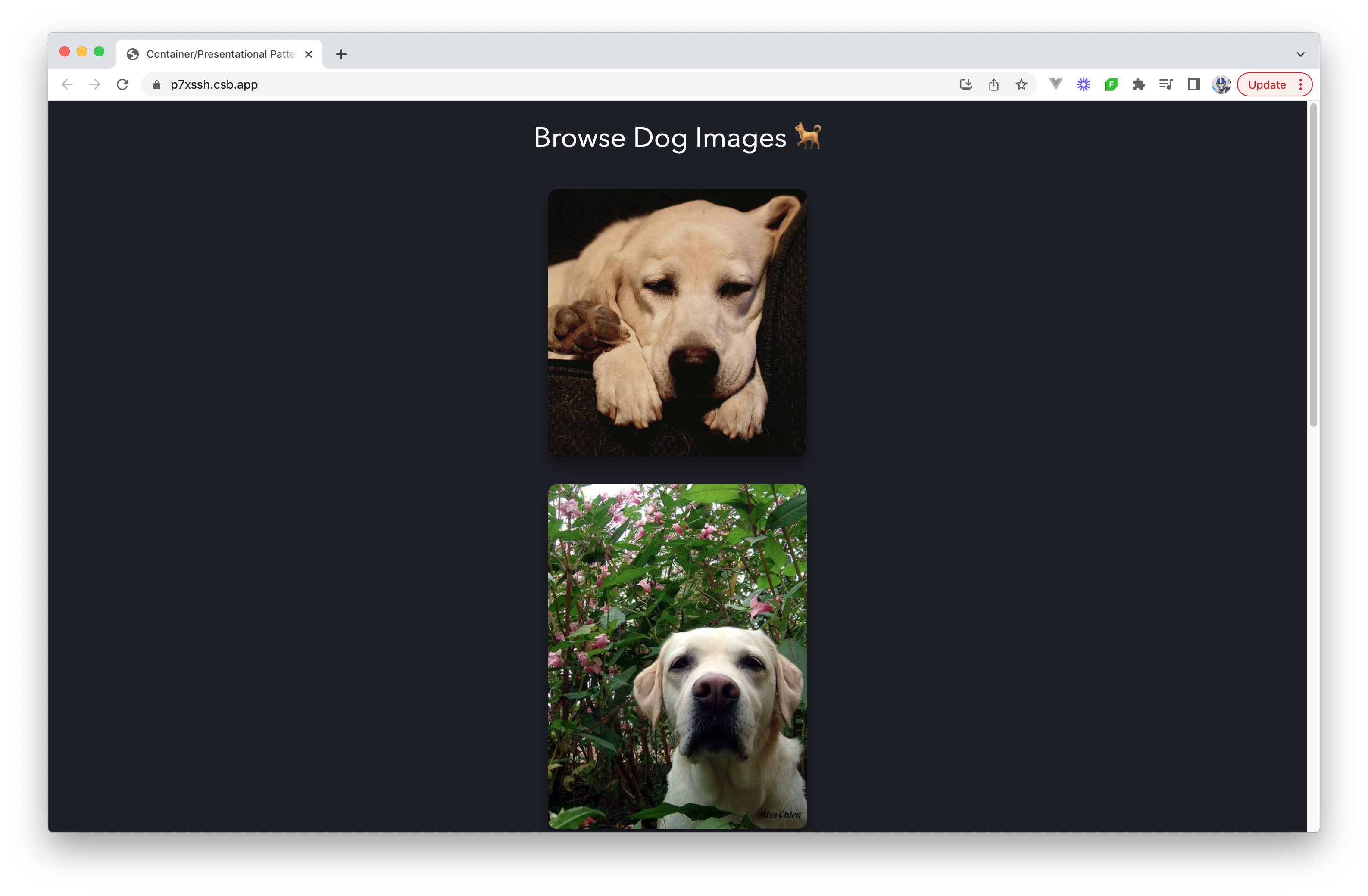 Browse dogs application