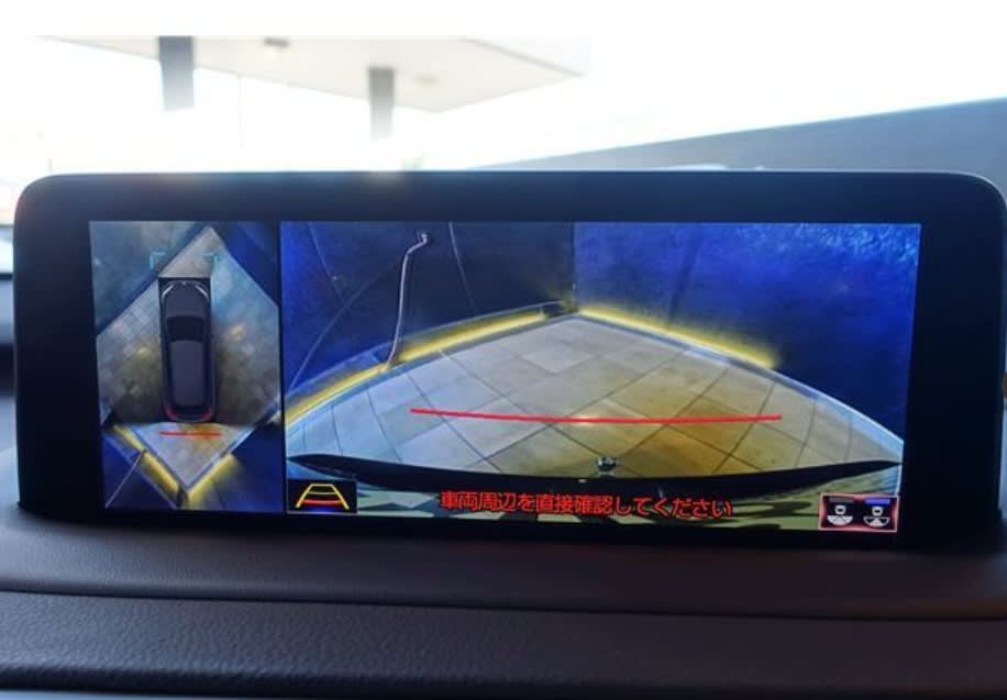 2019 Lexus RX-300 - Image 4