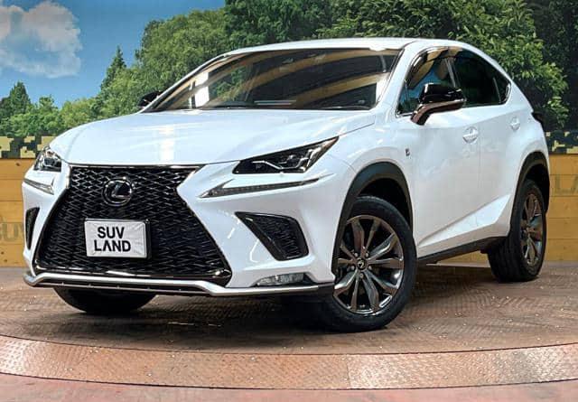 2019 Lexus RX-300