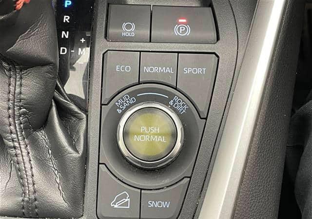 2020 Toyota RAV4 - Image 12