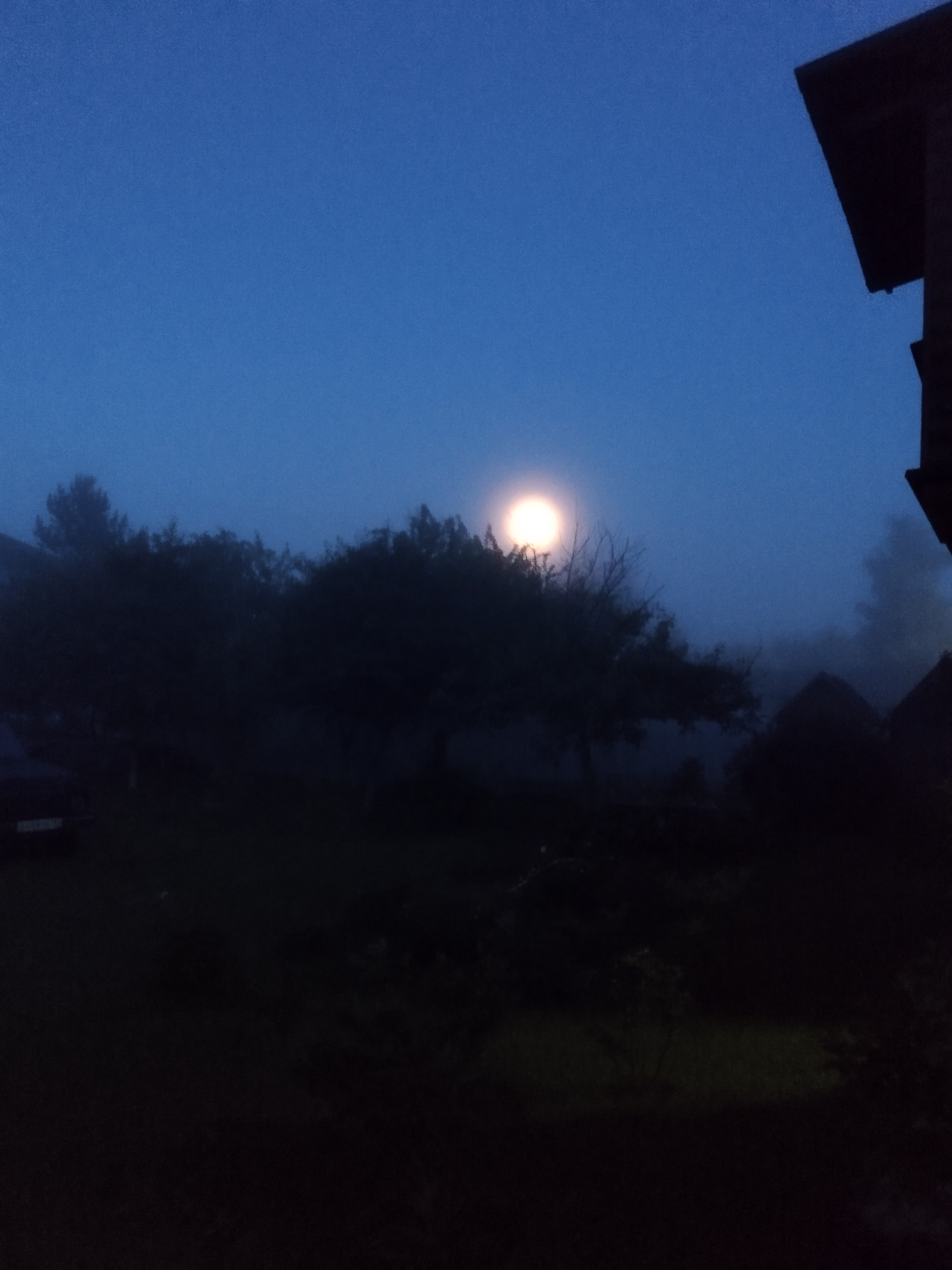 Photo of profile #8477
