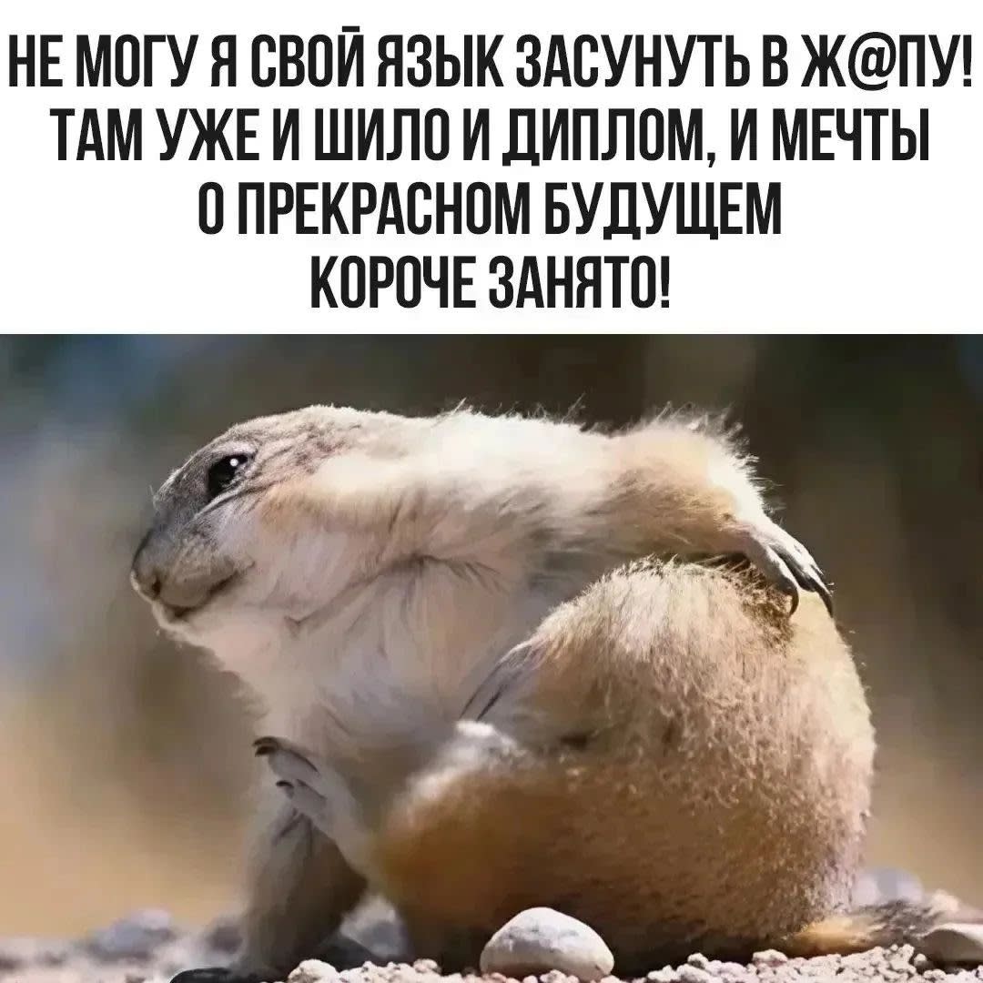 Фото анкети: Хлопець, 34 років, Тольятти (1)