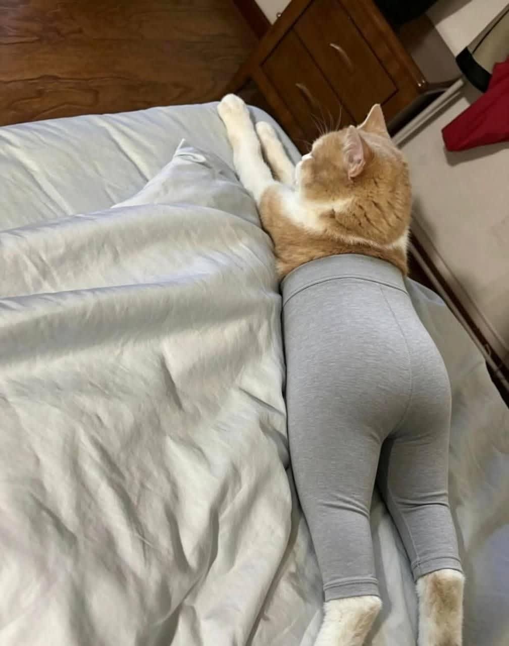 Снимка 1