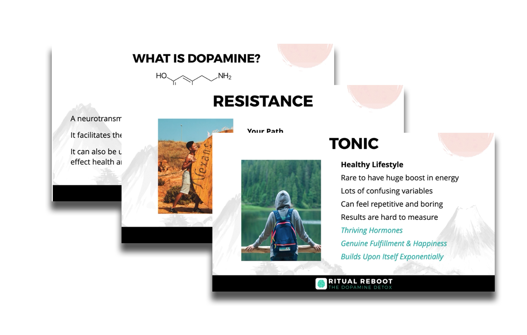 High Quality Trainings