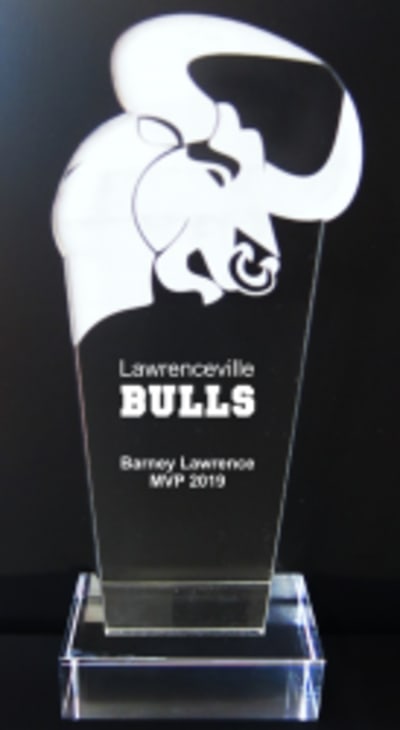 Bull - 9-1/2''