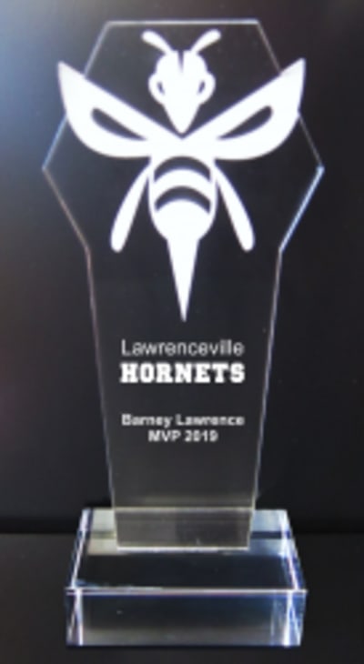 Hornet-Bee - 9-1/2''
