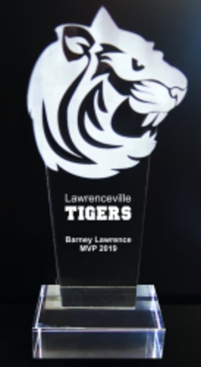 Tiger-Wildcat-Big Cat - 9-1/2''