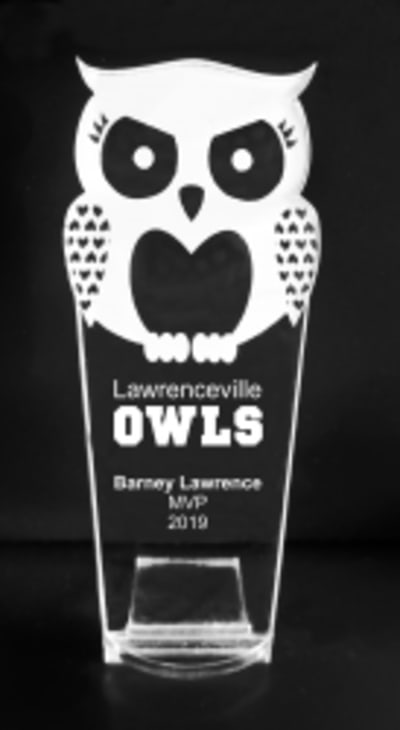 Owl - Reading - 8"