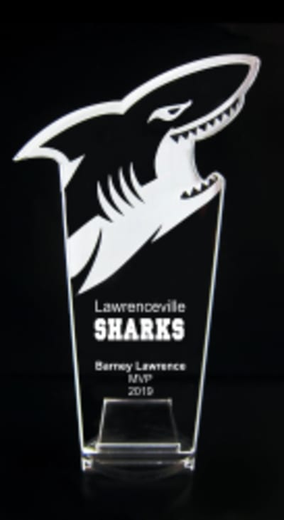 Shark - 8"
