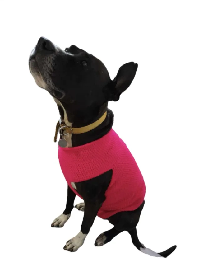 Crocheting Pattern 'Lyric extra large sweater' on Pattern Paradise