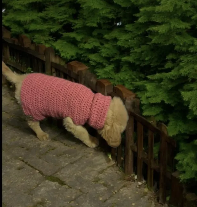 Crocheting Pattern 'Lyric sweater small' on Pattern Paradise