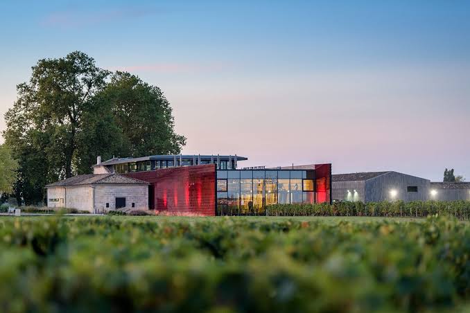 Wine Tour