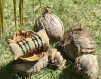 Honu Poe Rava