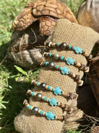 Honu Poe Rava