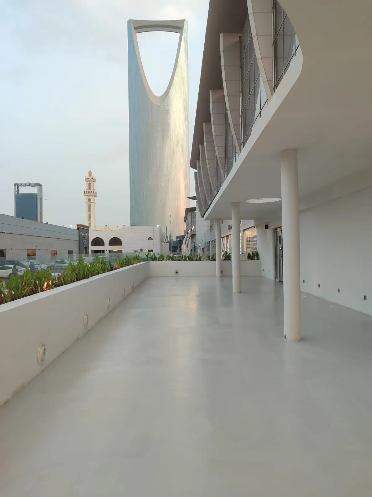 أرضية مايكروسمنت بيضاء لشرفة خارجية مع أحواض نباتات وأعمدة تطل على برج المملكة في الرياض