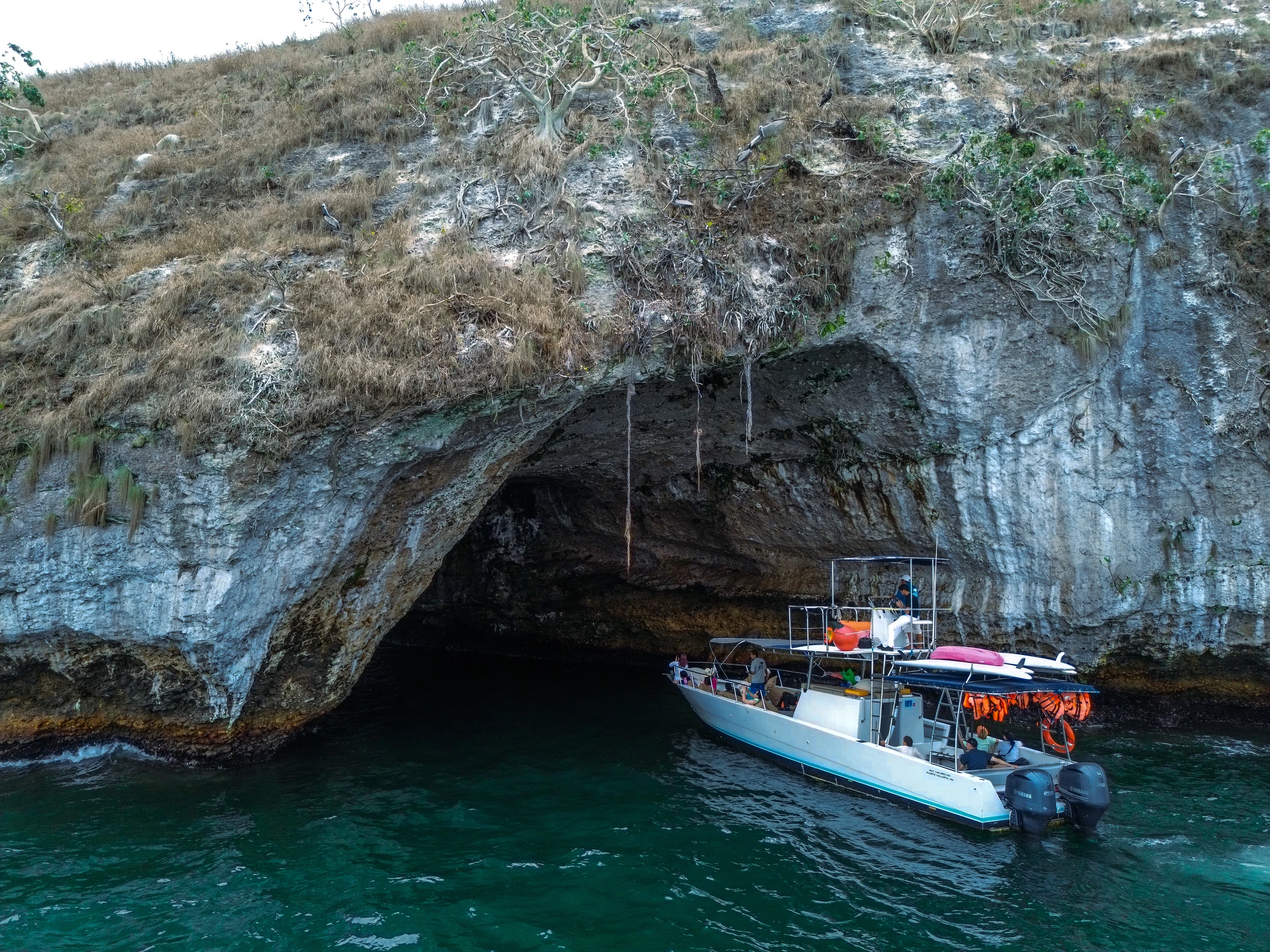 bote Puerto Vallarta