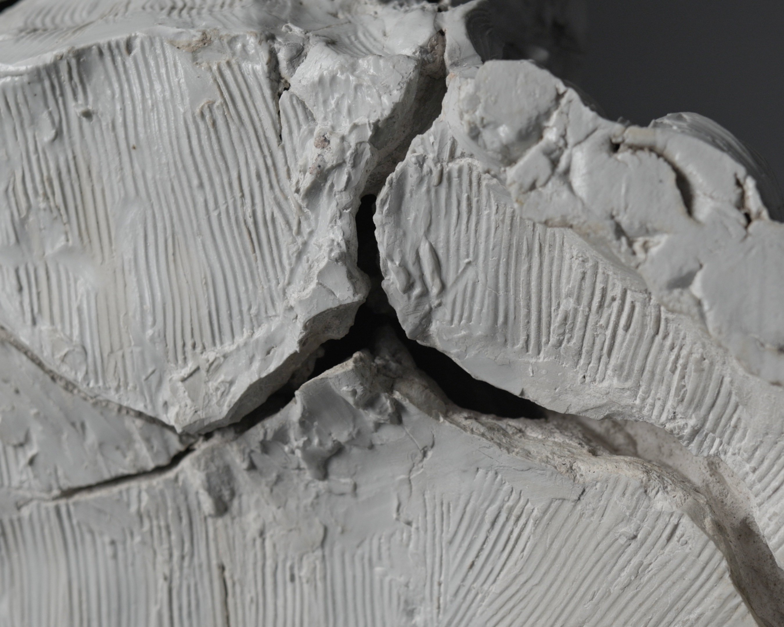 ALTOMANI Detail 2