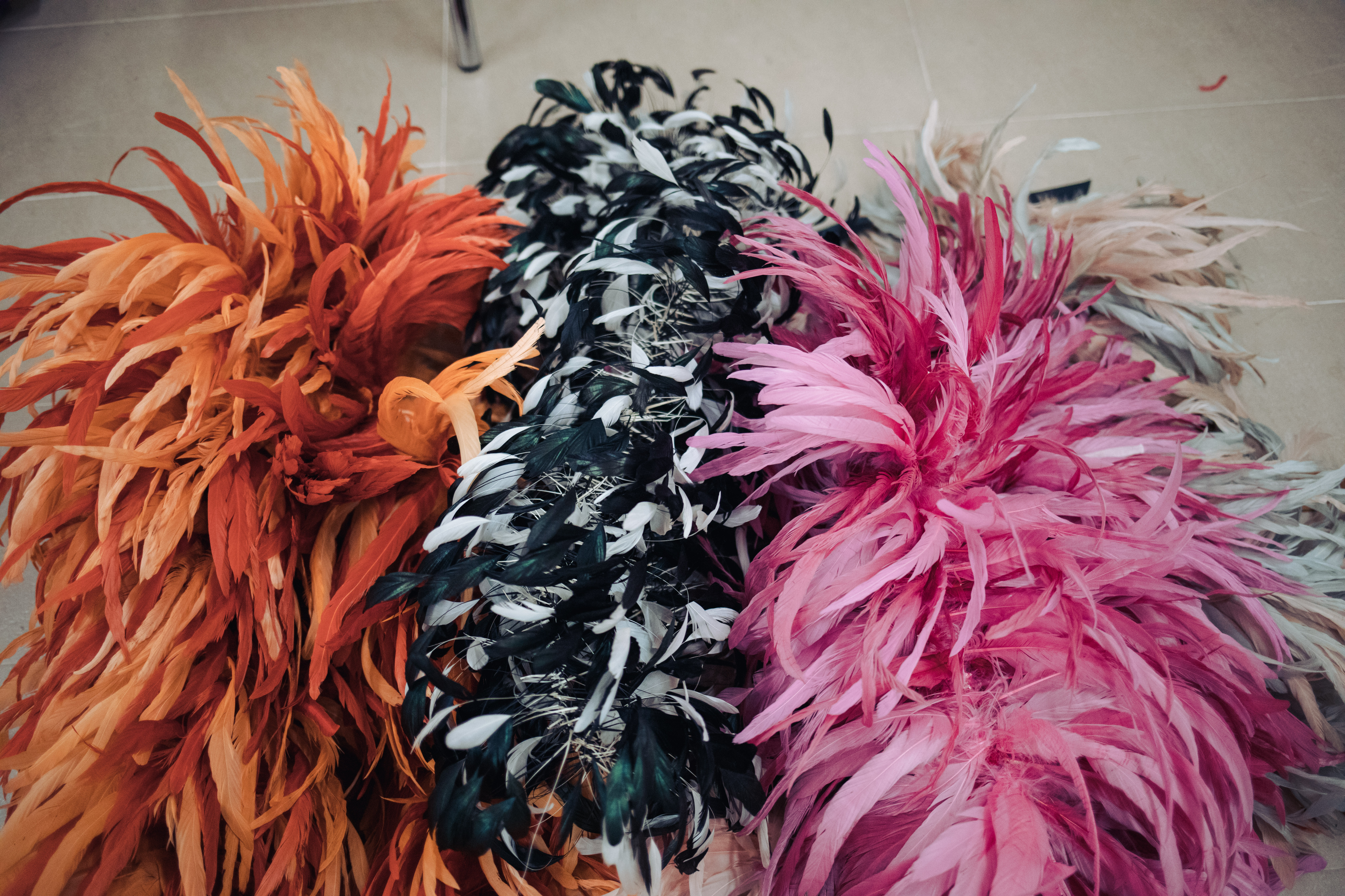 PIAF Feathers