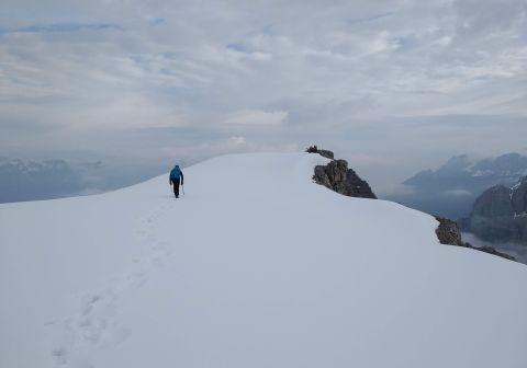 Pianoro cupolone in cima