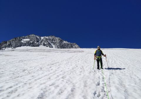 Ghiacciaio e Carè Alto