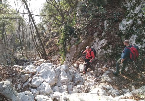 Cima Comer e Monte Denervo - foto 3