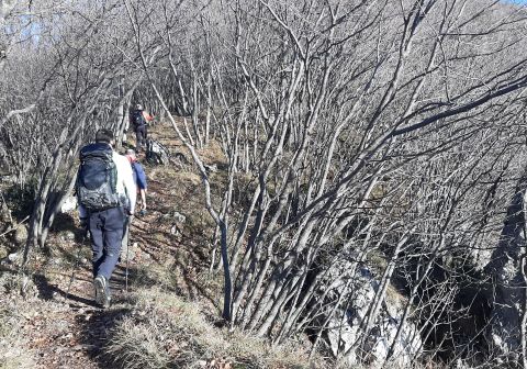 Cima Comer e Monte Denervo - foto 10