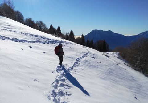 Cima Comer e Monte Denervo - foto 30