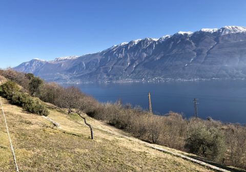 Cima Comer - Senter del Luf - foto 24