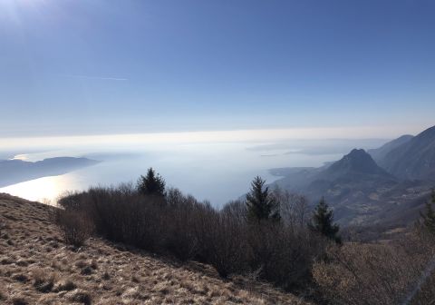 Cima Comer - Senter del Luf - foto 18
