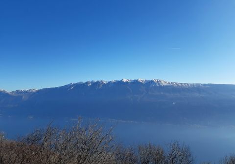 Cima Comer - Senter del Luf - foto 14