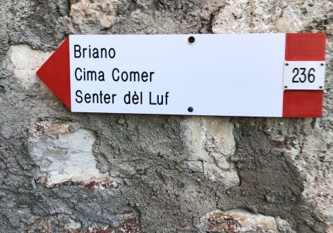 Cima Comer - Senter del Luf - foto 2