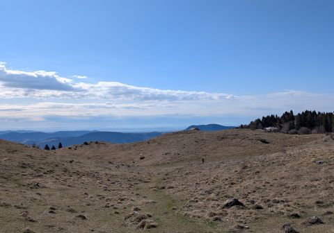 Cima Costabella da Ferrara di Monte Baldo - foto 4