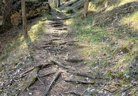 Cima Costabella da Ferrara di Monte Baldo - foto 2