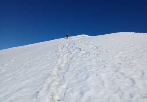 Cima Costabella da Ferrara di Monte Baldo - foto 9