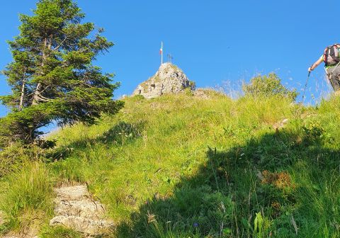 Cima Gavardina da Bondo - foto 8