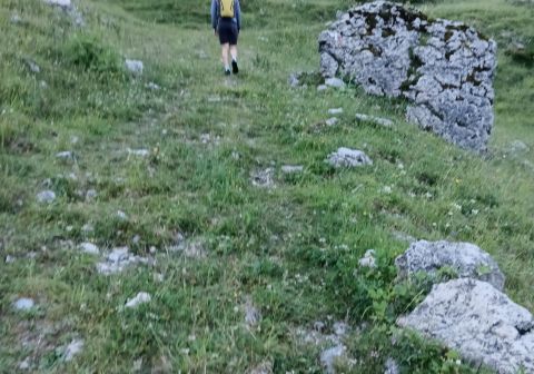 Cima Gavardina da Bondo - foto 4