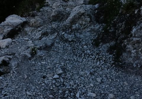 Cima Gavardina da Bondo - foto 10