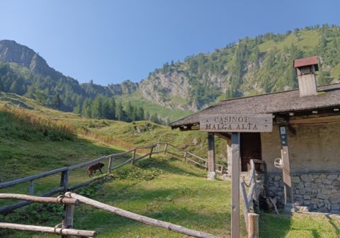 Cima Gavardina da Bondo - foto 6