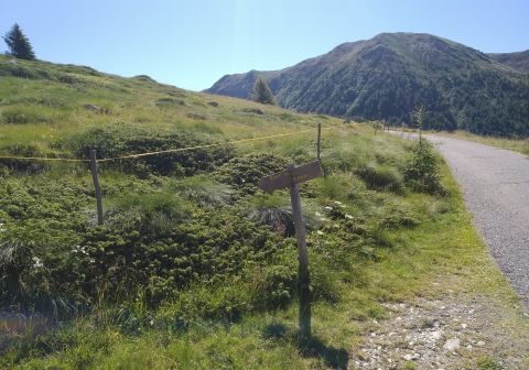Cima Grom - foto 1