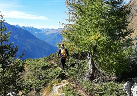 Cima Lesena - foto 22