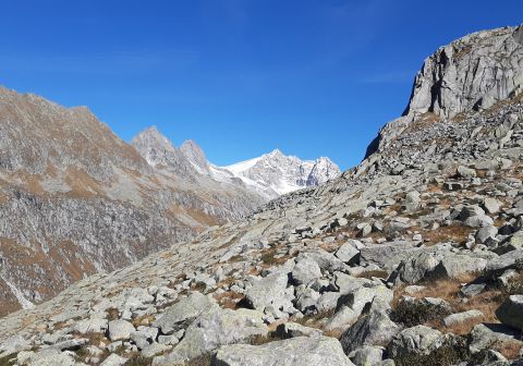 Cima Lesena - foto 21