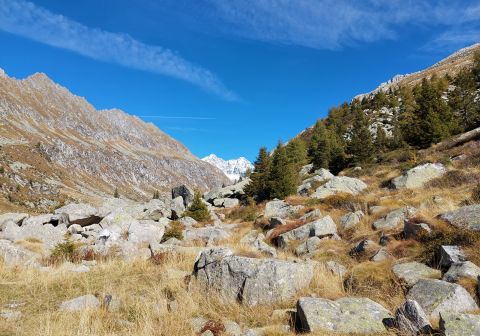 Cima Lesena - foto 24