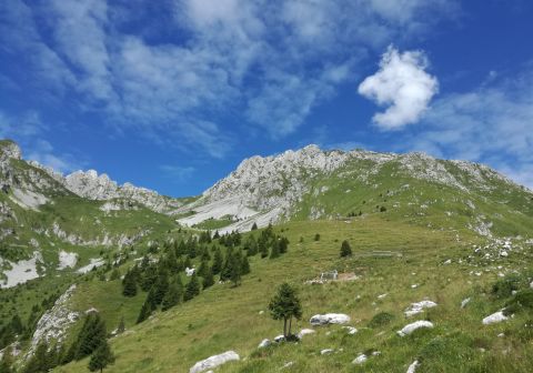 Cima Moren - foto 17