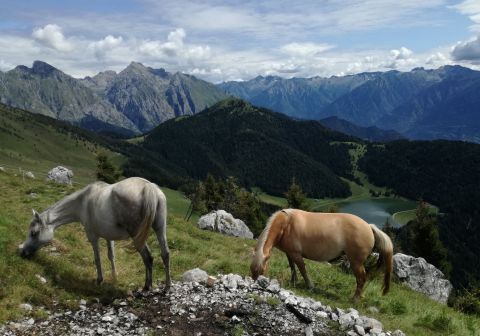 Cima Moren - foto 18