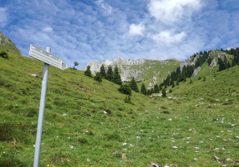 Cima Moren - foto 22