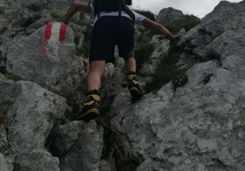 Cima Moren - foto 9