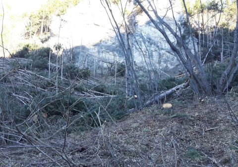 Cima Mughera e Baita Segala - foto 2