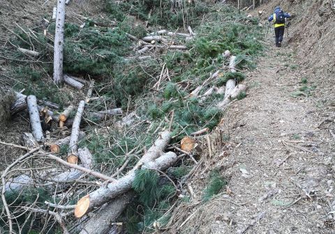 Cima Mughera e Baita Segala - foto 24